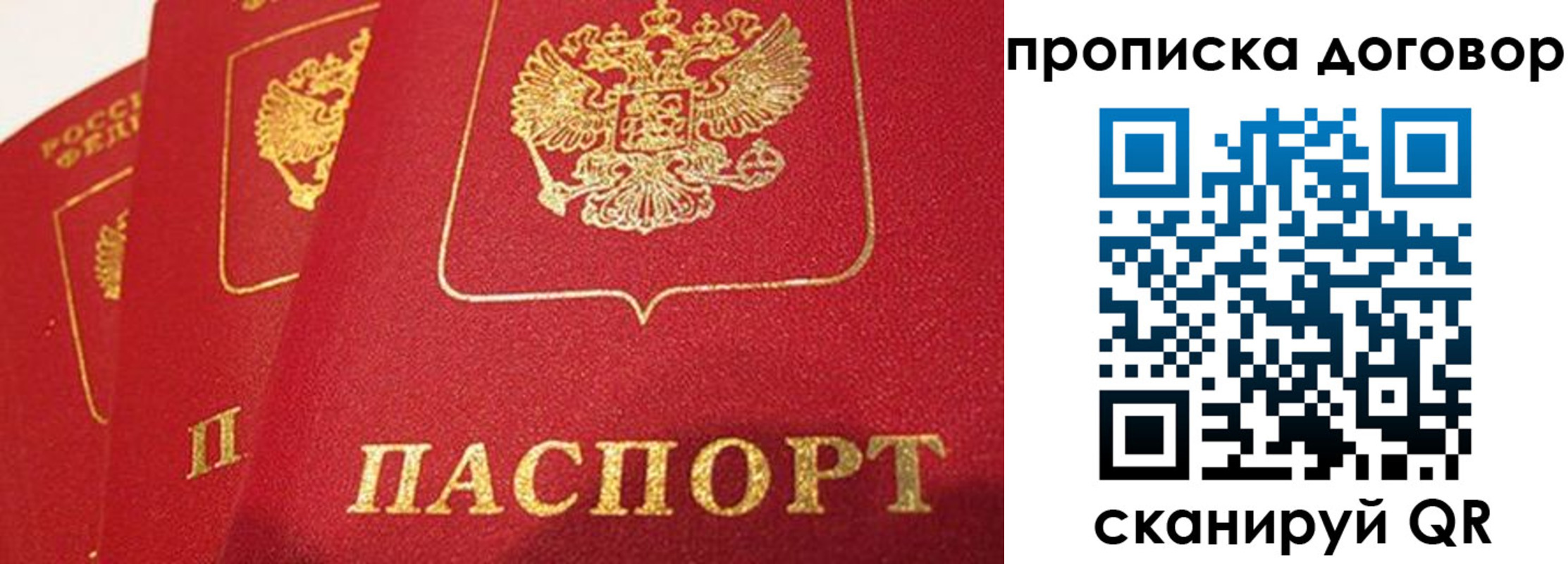 найти адрес прописки в Жуковском